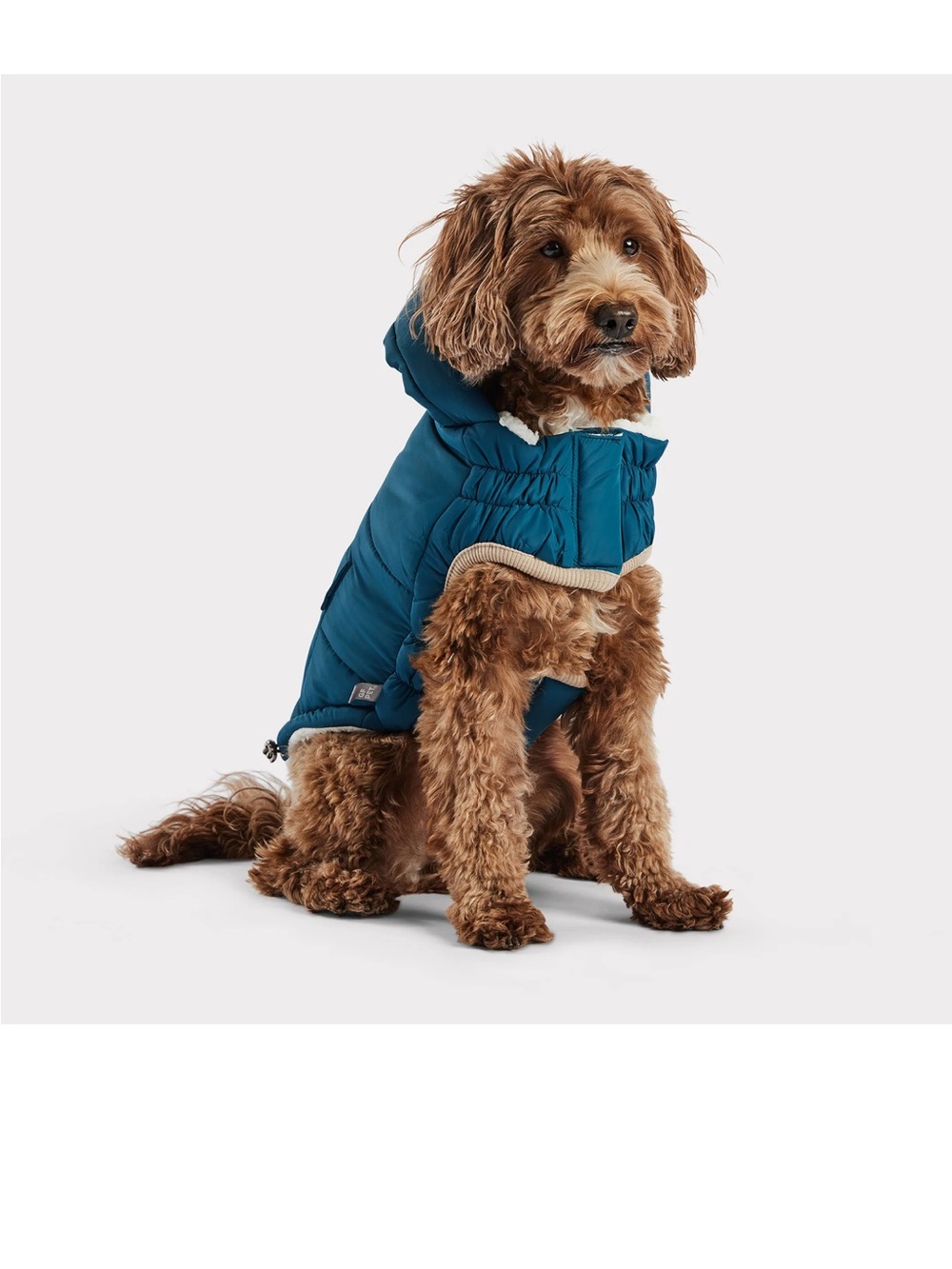 Teal Puffer Dog Jacket with Hood - Cozy Winter Coat
